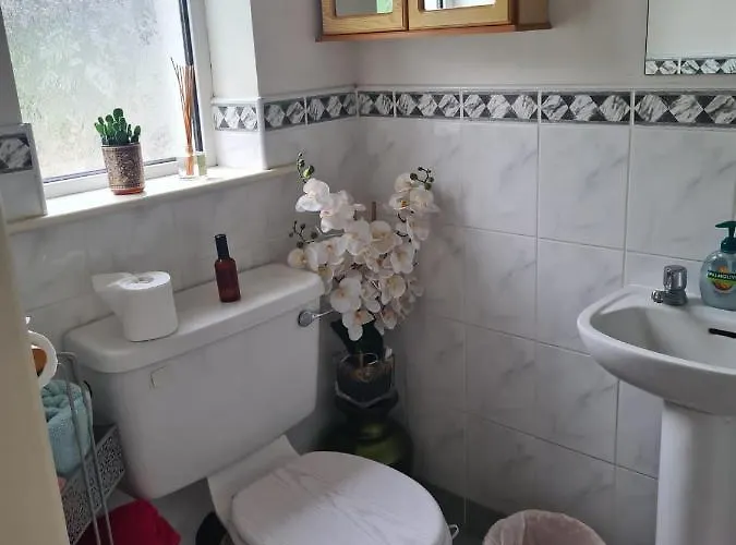 Coreen Pensión Tullamore